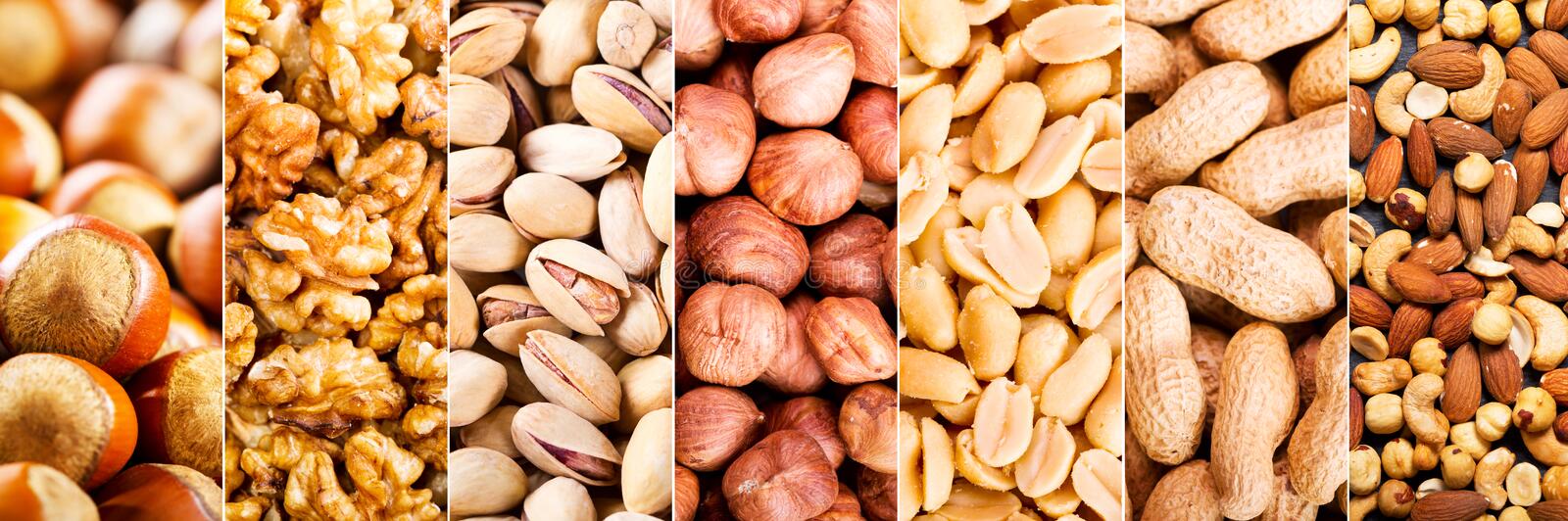 Read more about the article 6 Nutritious Nuts You Shouldn’t  Ignore!
