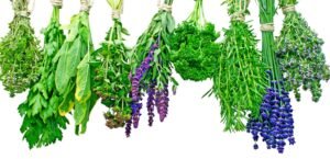 Read more about the article Herbs and Wonders🌿