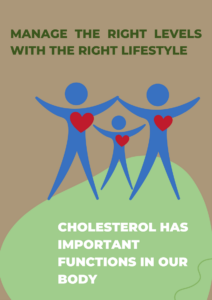 Read more about the article What if we had no cholesterol?