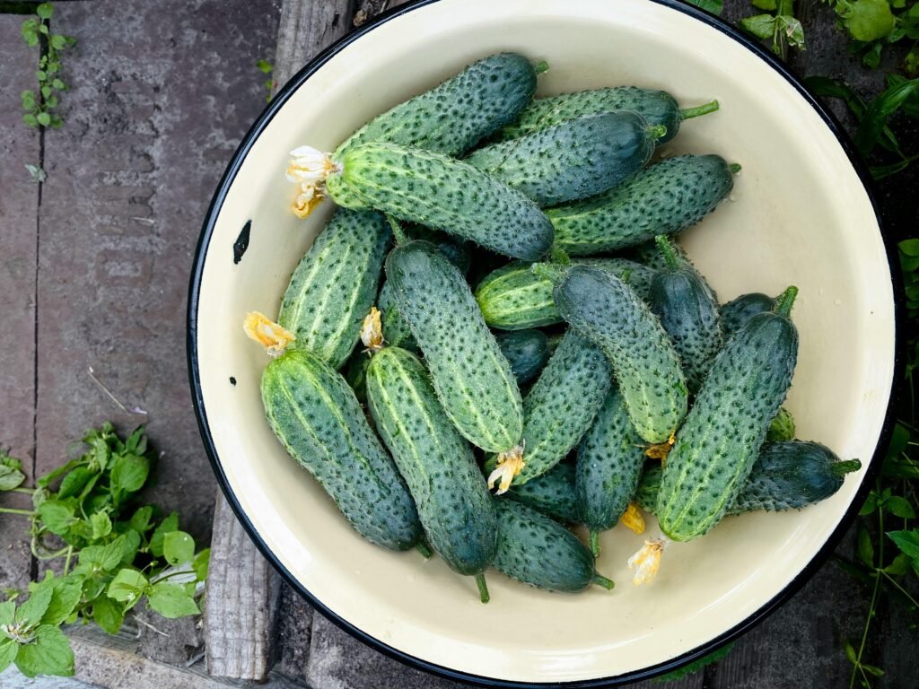 cucumbers in a bowl
