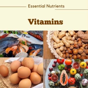 Read more about the article Vitamins – Functions, Deficiency, and Sources