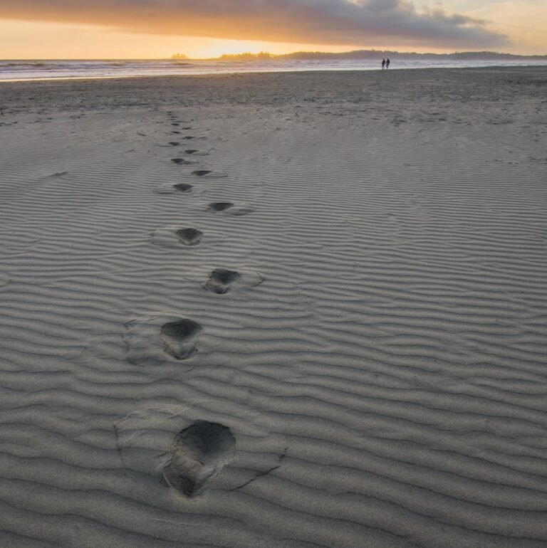 Read more about the article How To Grow Through Your Experiences?
