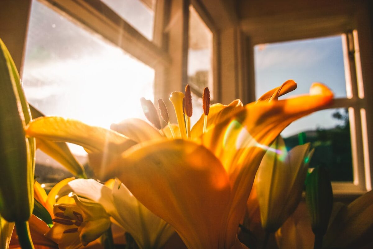 Read more about the article How Faith Transforms Your Life In 7 Ways.