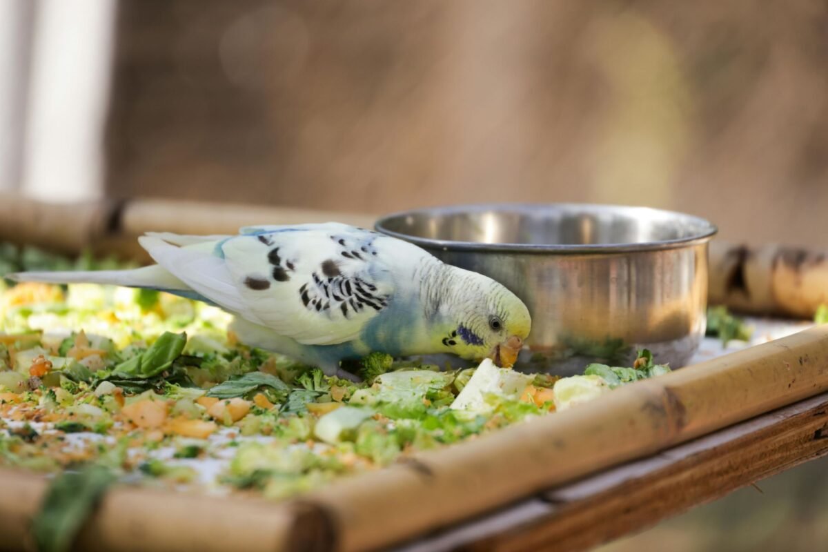 You are currently viewing Avoid Wasting Food For 7 Reasons