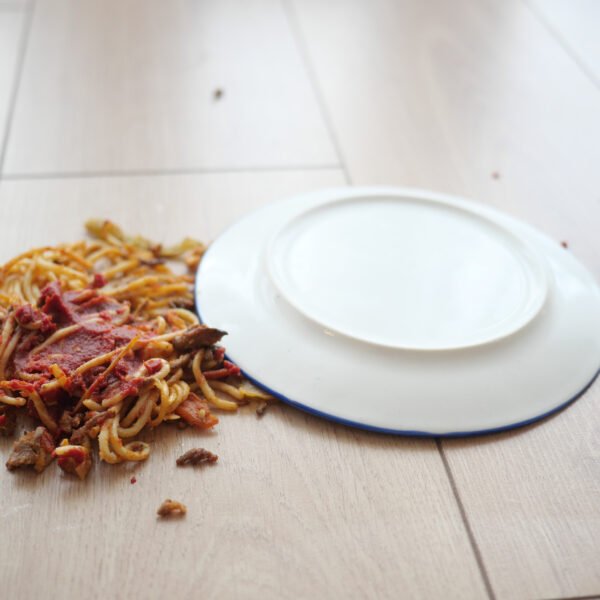 The 5-Second Rule: Myth vs. Reality