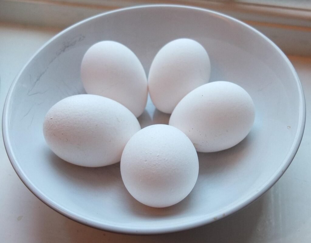 eggs