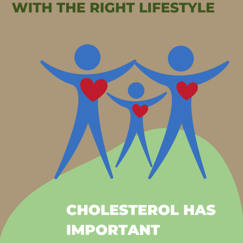 What if we had no cholesterol?