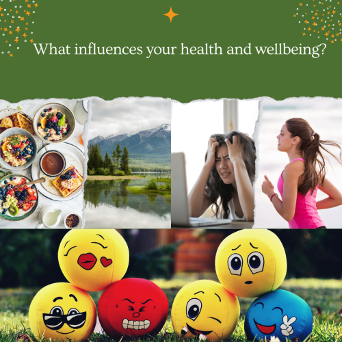 Influences on your health