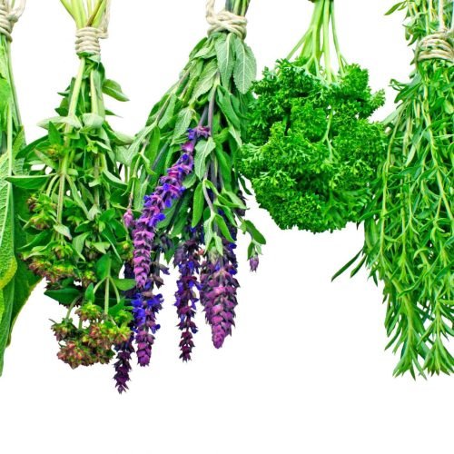 Herbs and Wonders🌿