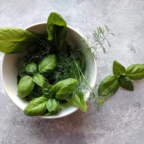 Nature’s Healing Herbs and Their Remarkable Benefits