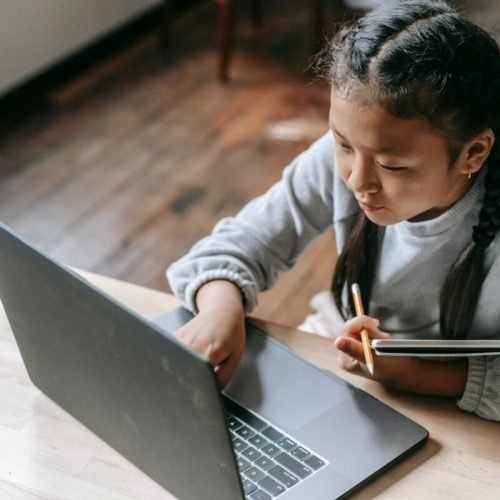 Photo by Katerina Holmes: https://www.pexels.com/photo/focused-young-asian-girl-studying-on-wireless-laptop-5905968/