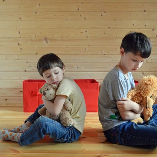 Photo by Victoria Akvarel on <a href="https://www.pexels.com/photo/sad-little-siblings-hugging-toys-on-floor-4145365/" rel="nofollow">Pexels.com</a>