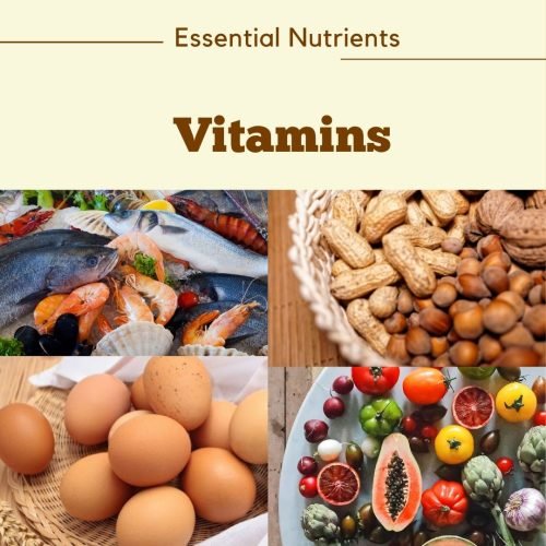 Vitamins – Functions, Deficiency, and Sources